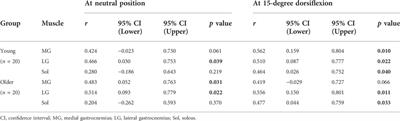 Contribution of muscle stiffness of the triceps surae to passive ankle joint stiffness in young and older adults